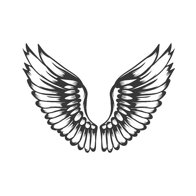 wing vector design black and white