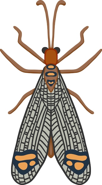 Vector winged bug illustration