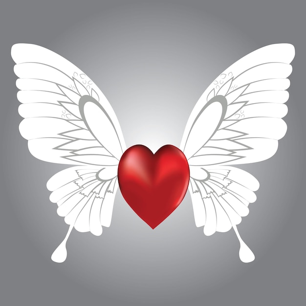 Vector winged heart butterflylove symbol valentine day vector