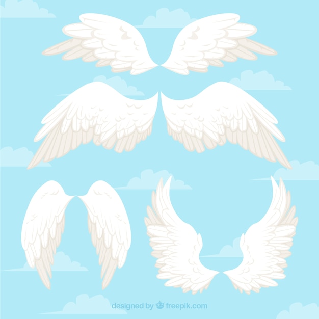 Vector wings of angels white