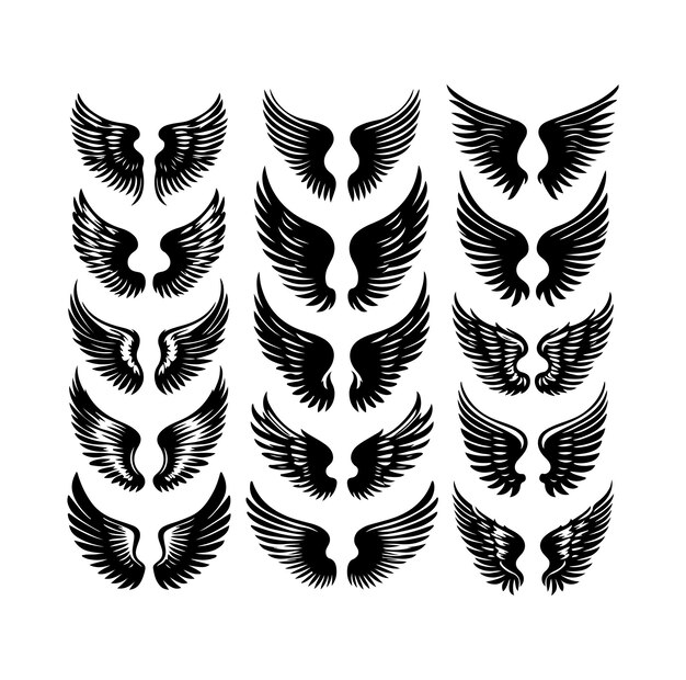 Vector wings collection set vector