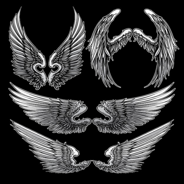 Wings collection vector set