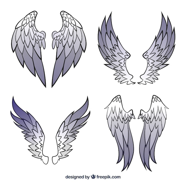 Wings collection