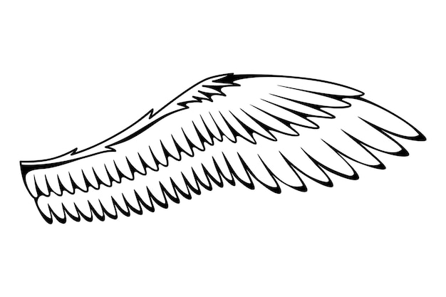 Wings sketch Stylized birds wings Hand drawn contoured stiker wing in open position Vector design elements in coloring style