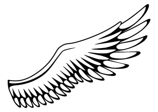 Wings sketch Stylized birds wings Hand drawn contoured stiker wing in open position Vector design elements in coloring style