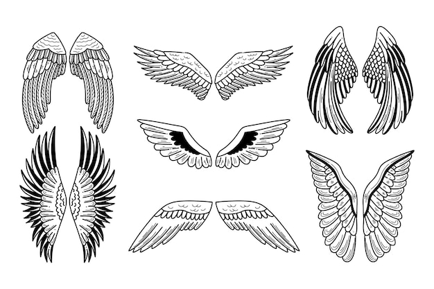 Wings vector doodle set on white backround fly design vector illustration