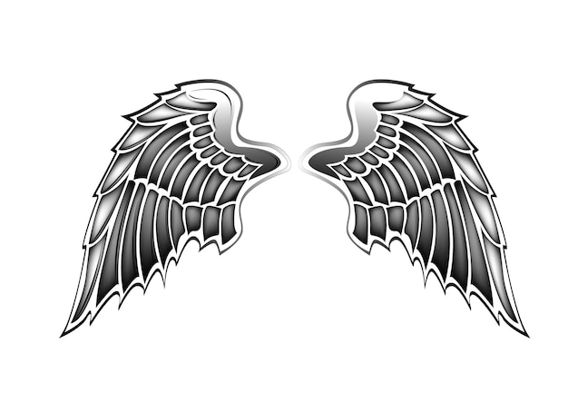 Vector wings vector illustration