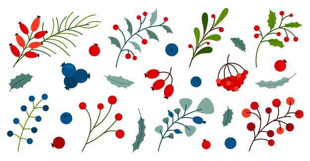 Winter autumn berry plant leaf branch sprout fruit colorful flat set holly wild rose viburnum blueberry sea buckthorn lingonberry cranberry floral element festive decor card sticker print isolated