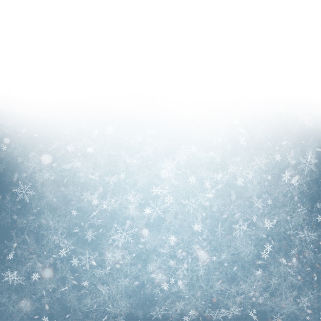 Vector winter background