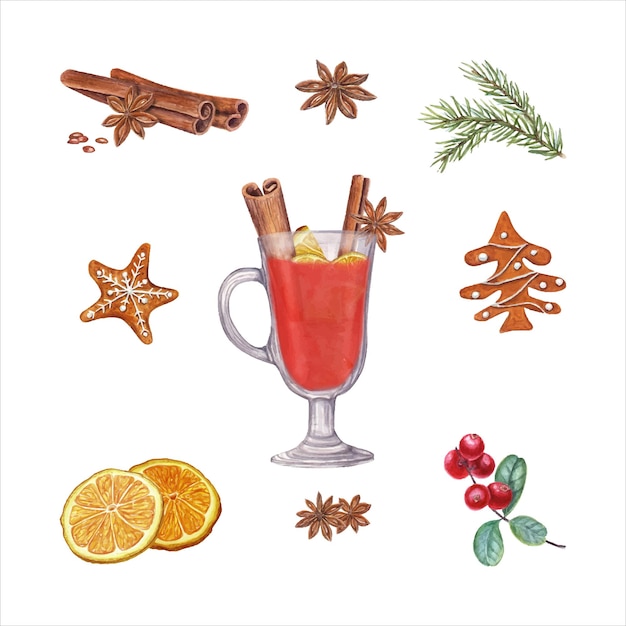 Vector winter beverage ingredients set hot spicy punch red berries spruce branch gingerbread cookies