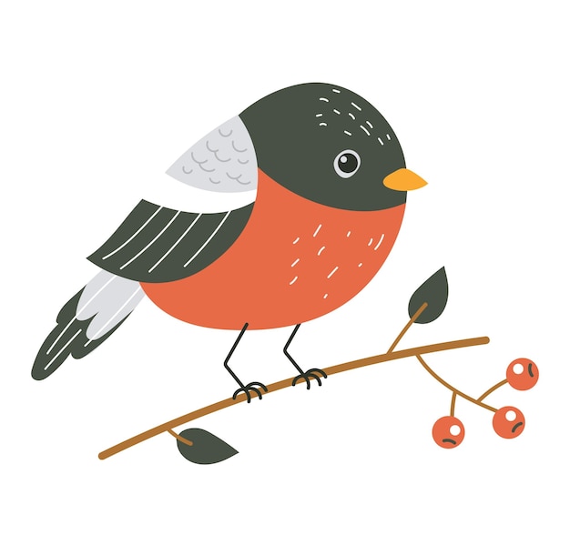 Vector winter bird red character design element concept illustration