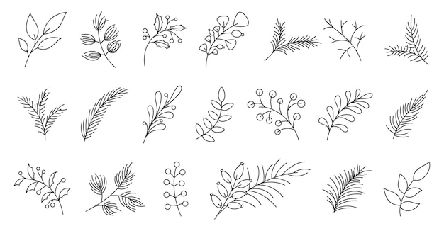 Winter branch leaf nature spruce needle berry black line set Spruce briar rose hips lingonberries pine blooms crop Fine handdrawn element print pattern fabric sticker decorating diary card isolated