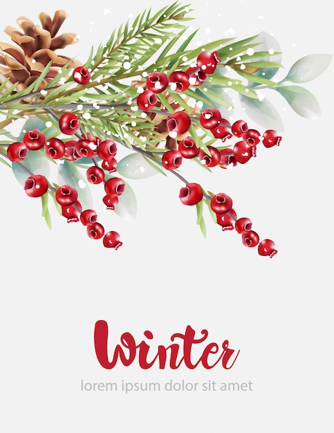 Mirtilli rossi di inverno con le foglie e la pigna verdi dell'albero di abete
