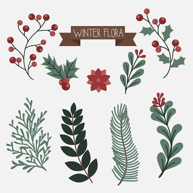 Vector winter flora set elements.