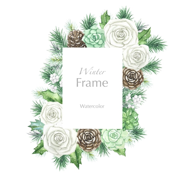 Winter floral frame with white roses succulents spruce branches