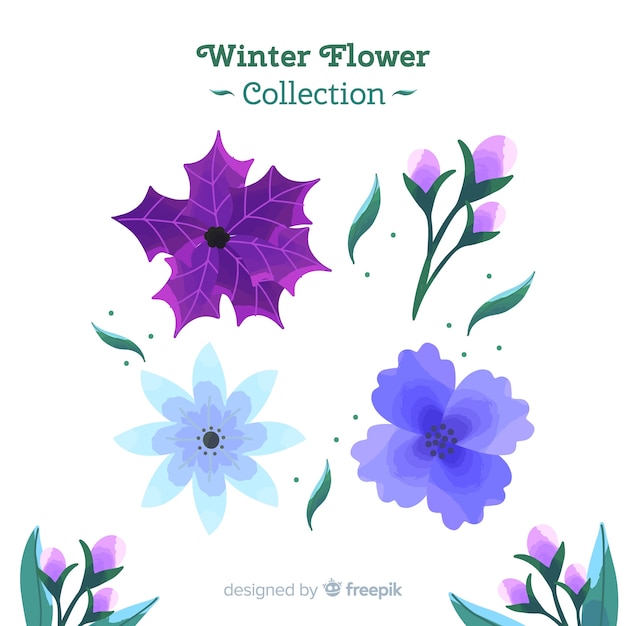 Winter flower collection