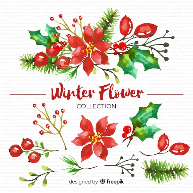 Vector winter flower collection