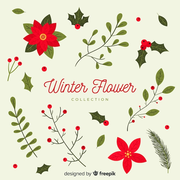 Vector winter flowers collection