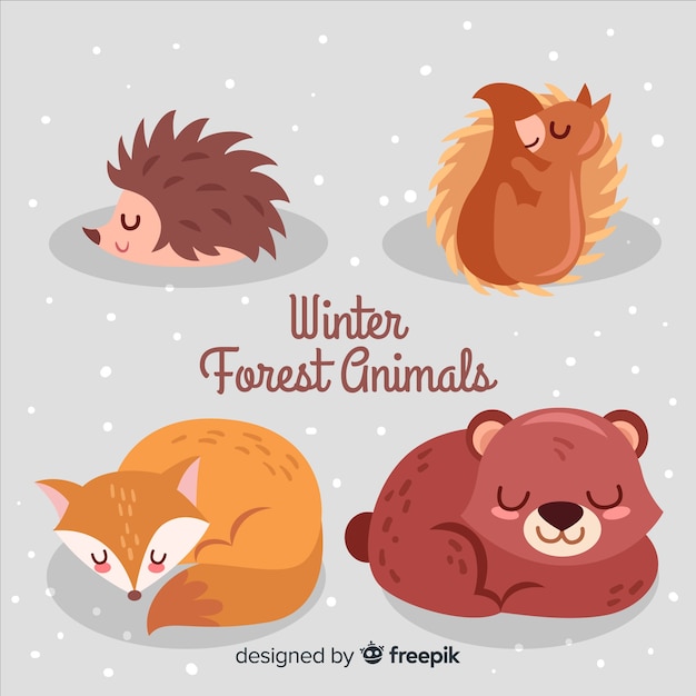 Winter forest animal collection