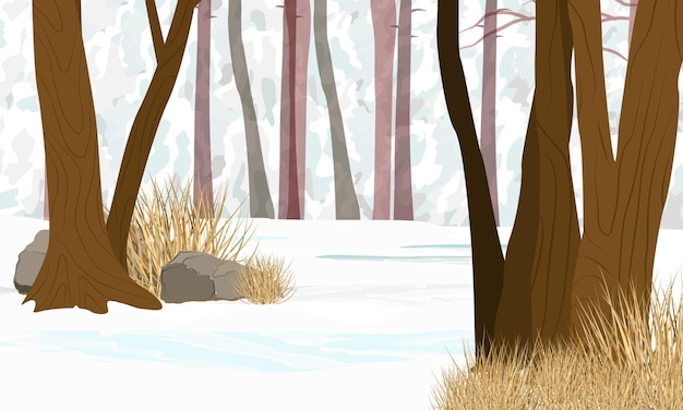 Vector winter forest. tree trunks, stones and dry grass in the snow. nature in winter. realistic vector