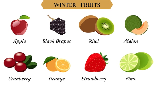冬の果物のベクトル図シンプルな果物のベクトル図