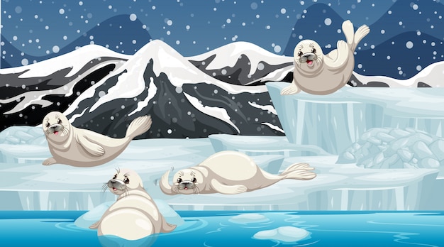 Winter scene with four seals on ice