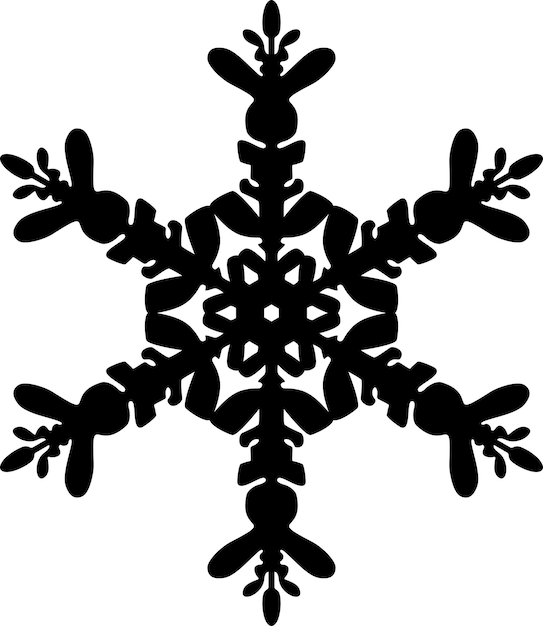 Vector winter snowflake icon