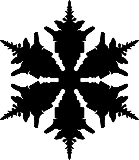 Winter Snowflake Icon