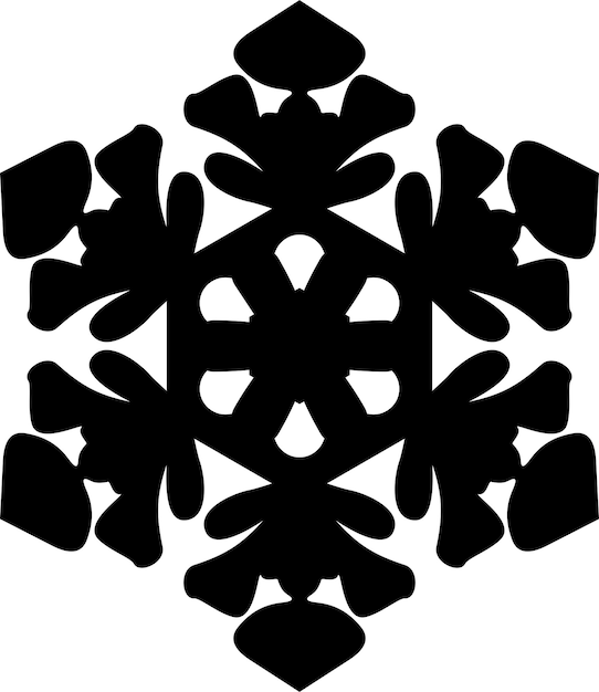 Vector winter snowflake icon