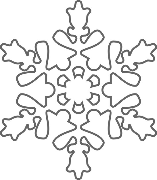 Winter Snowflake Icon