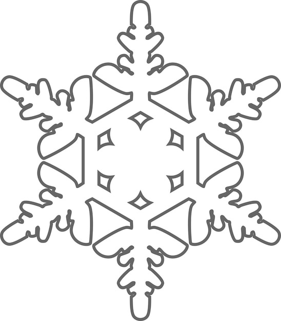 Winter Snowflake Icon