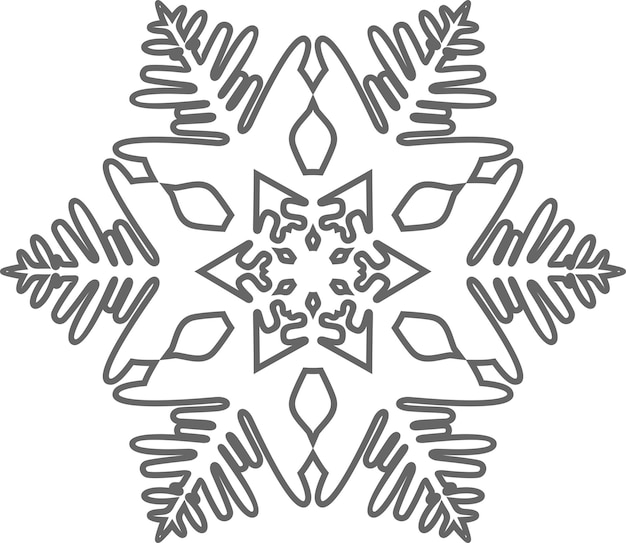 Winter Snowflake Icon