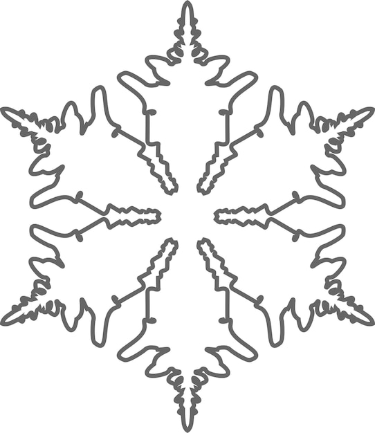 Vector winter snowflake icon