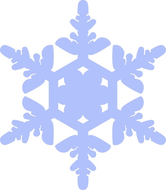 Winter Snowflake Icon