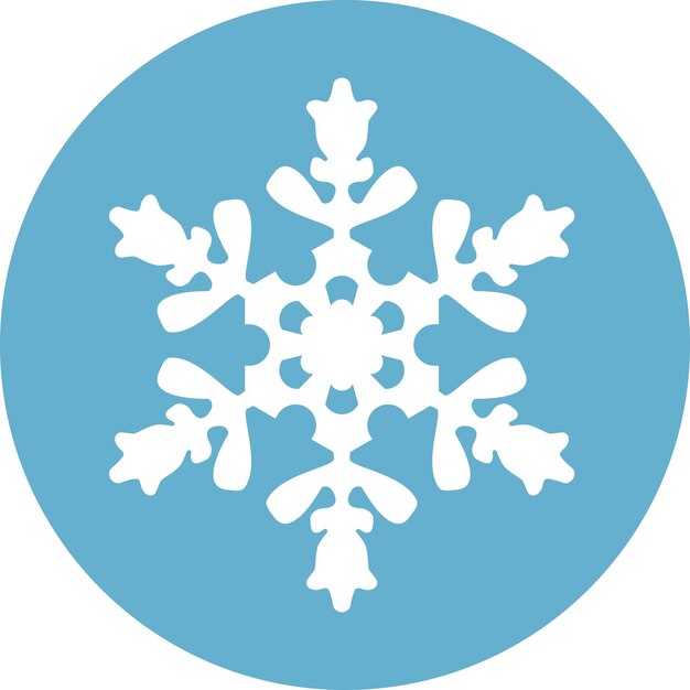 Winter Snowflake Icon