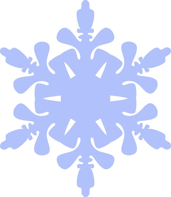 Winter Snowflake Icon