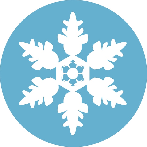 Winter Snowflake Icon