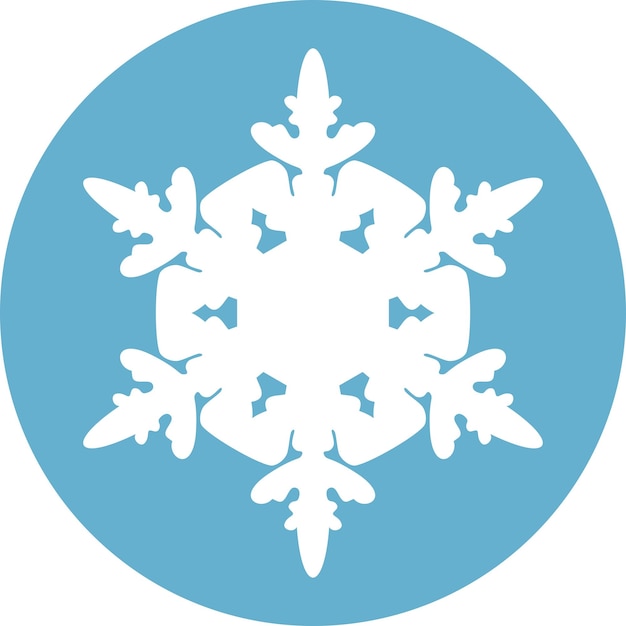 Vector winter snowflake icon