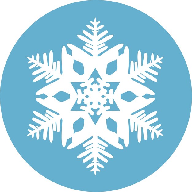 Winter Snowflake Icon