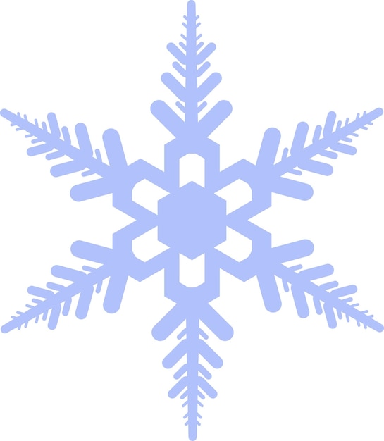 Winter Snowflake Icon