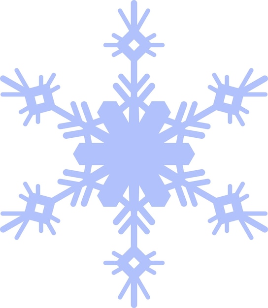 Winter Snowflake Icon