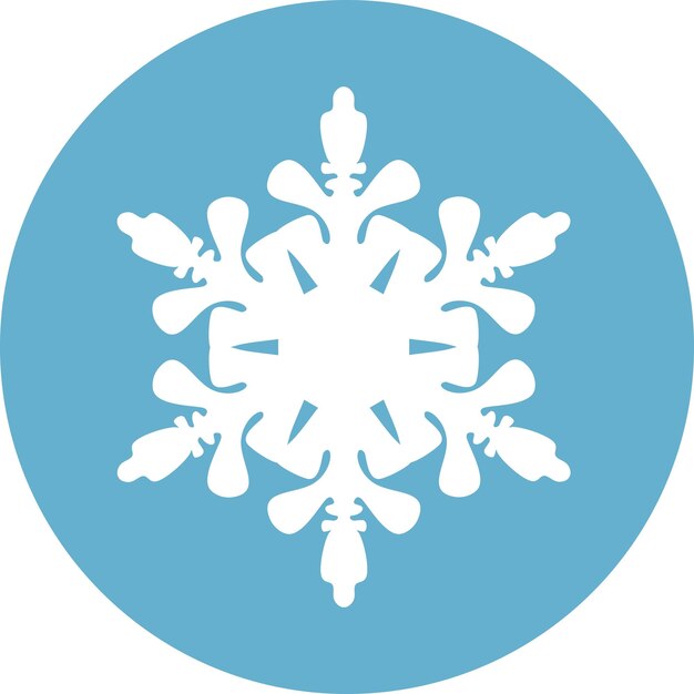 Winter Snowflake Icon