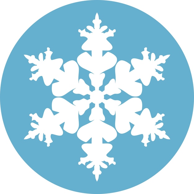 Winter Snowflake Icon