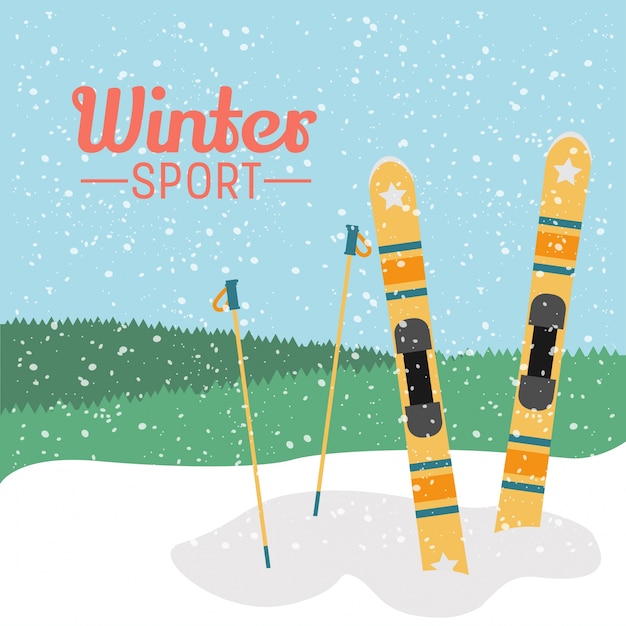 Vector winter sport illustration