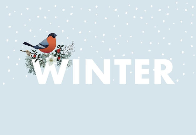 Winter web banner Bullfinch bird sitting on W letter Floral garland of pine tree branches cranberries and narcissus flowers Vintage design Vector illustration background with falling snow
