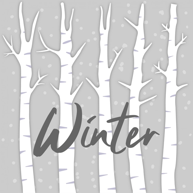白樺の木の背景と冬
