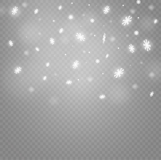 Vector winter with snow in transparent background