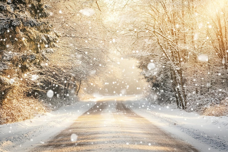 Vector winter wonderland majestic snowcovered trees in a serene landscape perfect for holiday cards and win