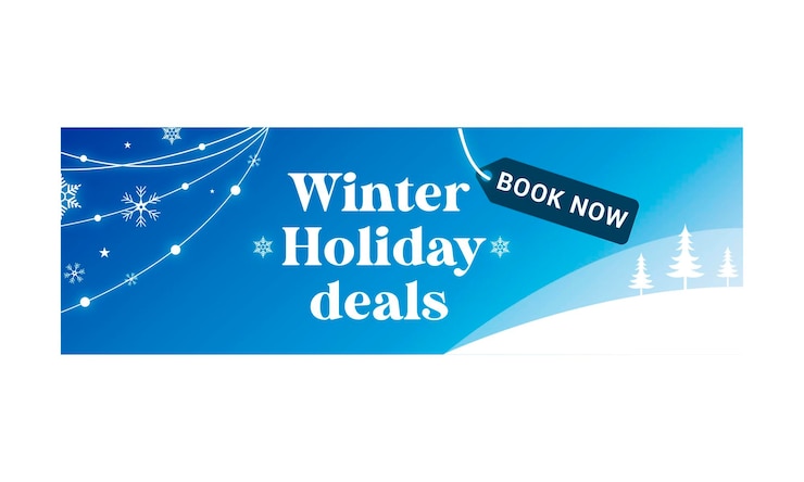 Vector wintervakantie deal en vakantie vector koptekst en omslagbanner voor facebook voor kersttoerisme