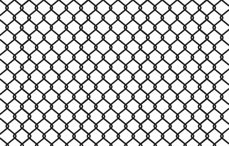 Vector wire mesh on white background vector illustration